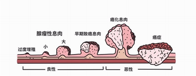 調(diào)整大小 微信圖片_20230809170443.png