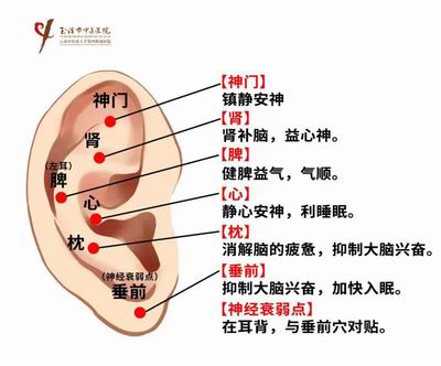 調(diào)整大小 微信圖片_20230809092723.jpg